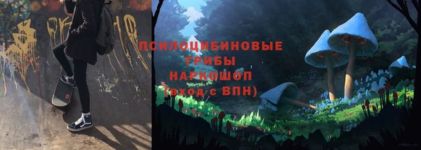 спиды Богданович