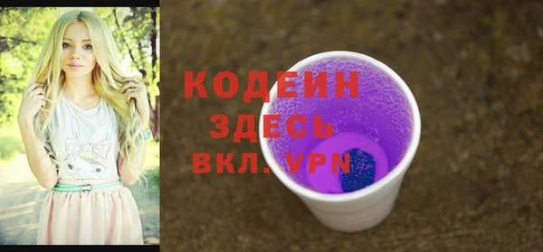 спиды Богданович