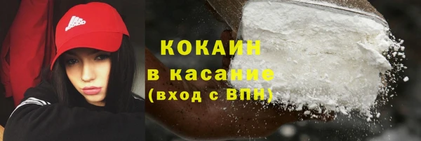 гидра Белокуриха