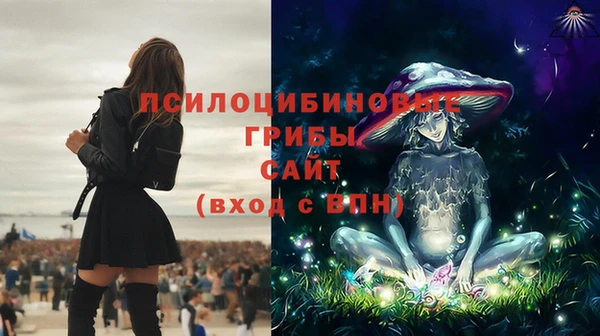 spice Покров