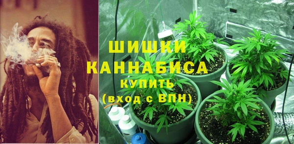 гидра Белокуриха